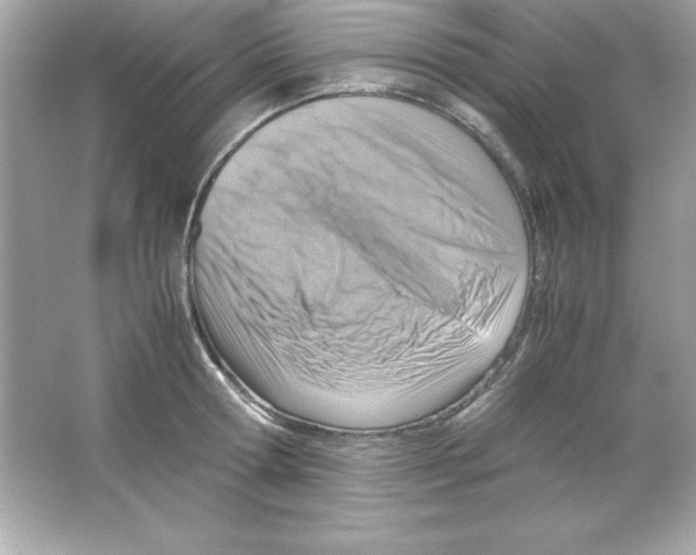 X0000065250802200603172203