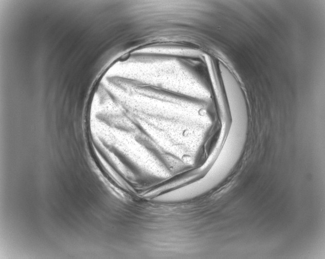 X0000065250803200603172203