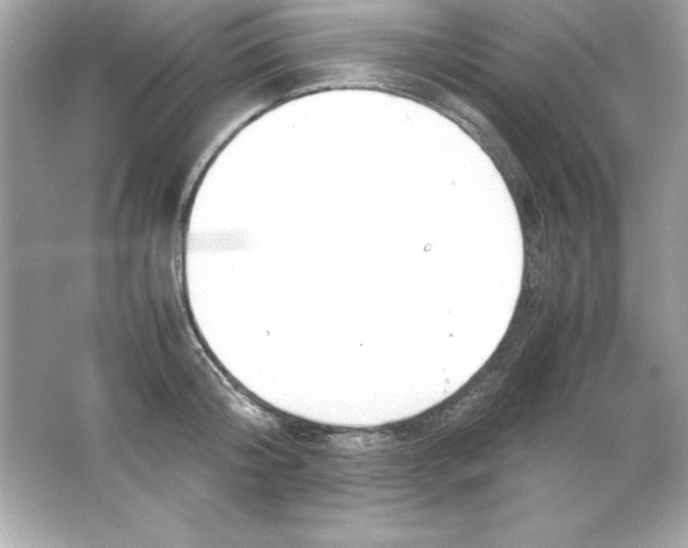 X0000065250804200603172203