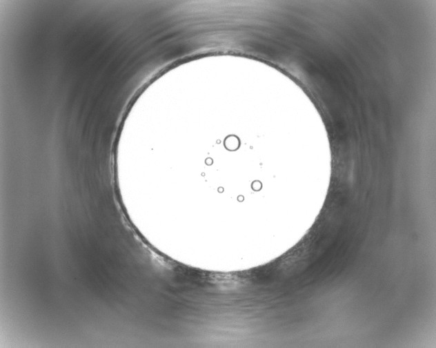 X0000065250807200603172203