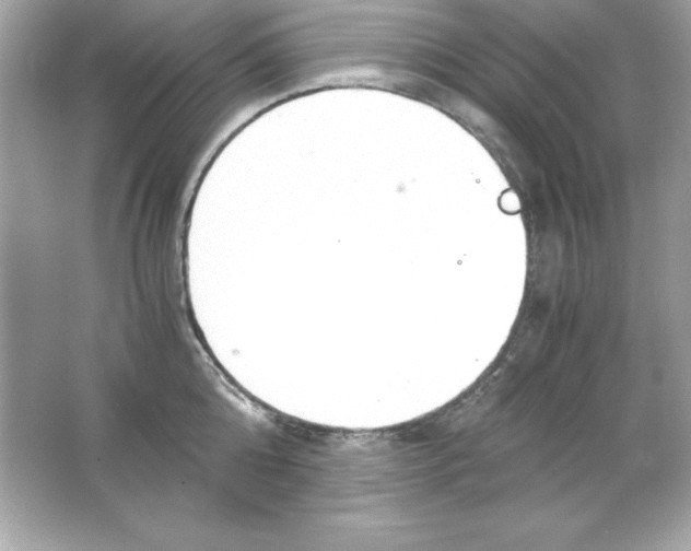 X0000065250808200603172202