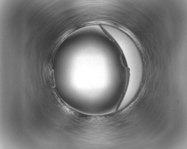 X0000065250809200603172202