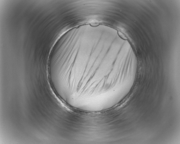 X0000065250810200603172202