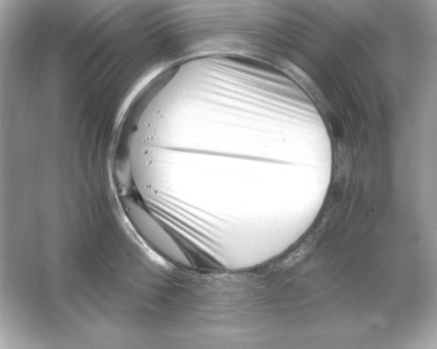 X0000065250812200603172202