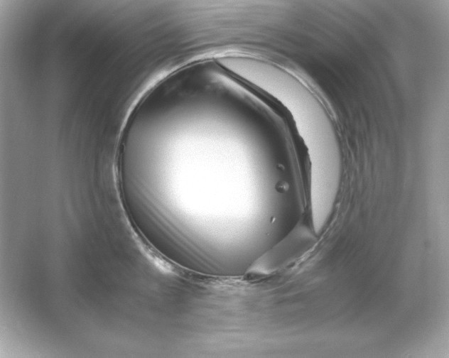 X0000065250813200603172202