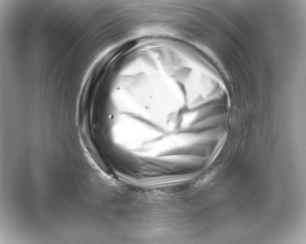 X0000065250815200603172202