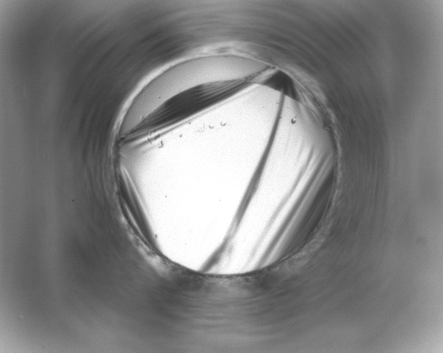 X0000065250816200603172202