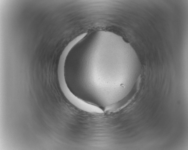 X0000065250818200603172202