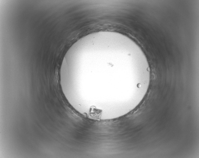 X0000065250820200603172202