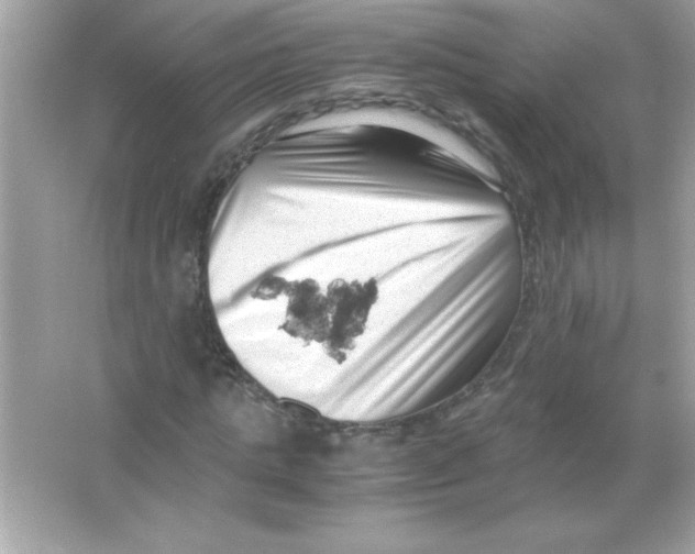 X0000065250821200603172202