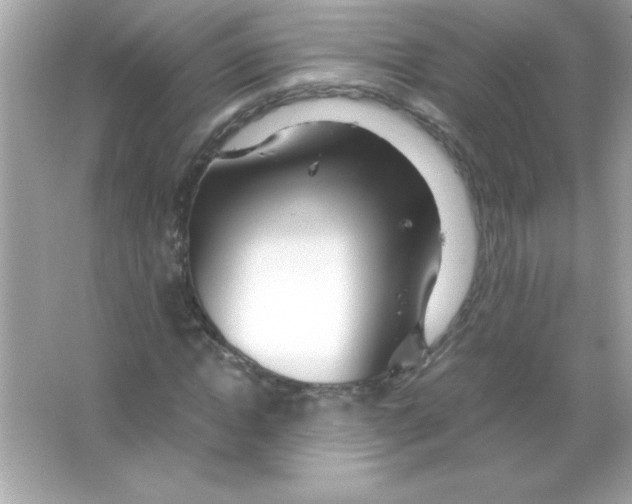 X0000065250822200603172202