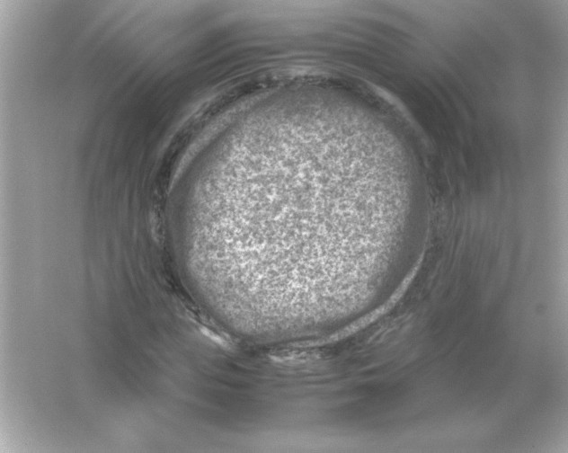 X0000065250823200603172202