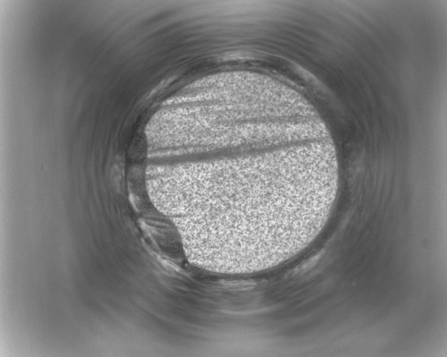 X0000065250825200603172202