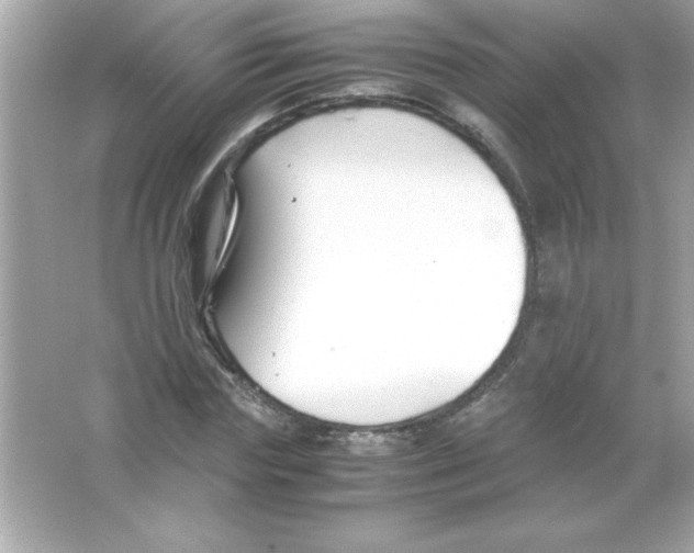 X0000065250827200603172202