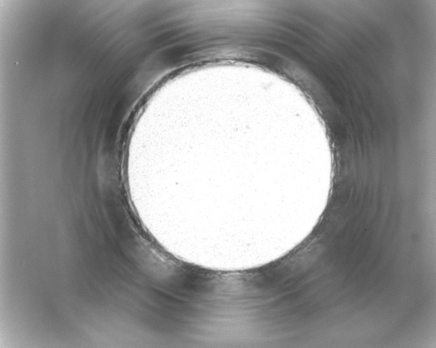 X0000065250828200603172202