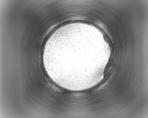 X0000065250829200603172202