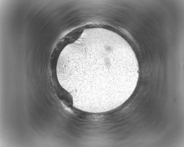 X0000065250831200603172202