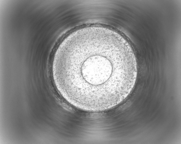 X0000065250832200603172202