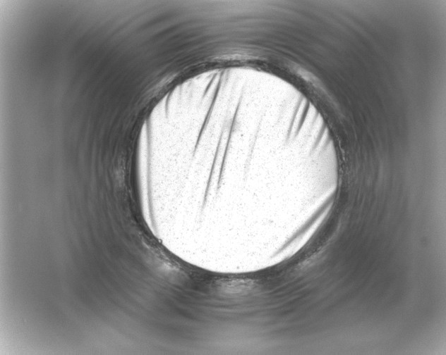 X0000065250833200603172202