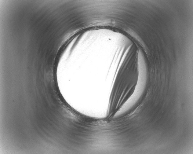 X0000065250834200603172202