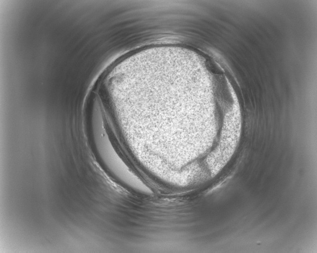 X0000065250835200603172202