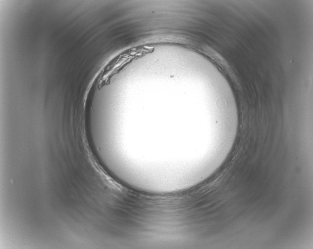 X0000065250836200603172202