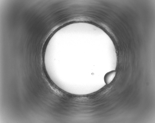 X0000065250837200603172202