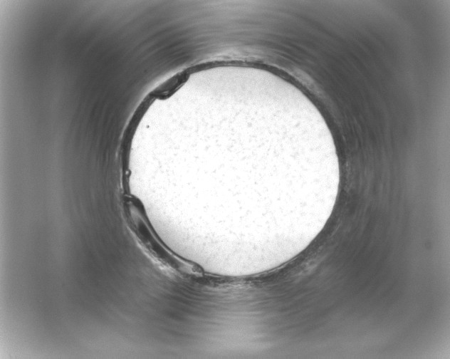 X0000065250838200603172202