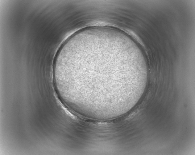 X0000065250839200603172202