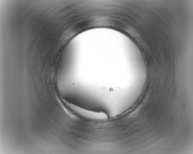 X0000065250841200603172202