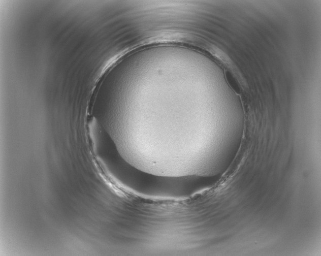 X0000065250842200603172202