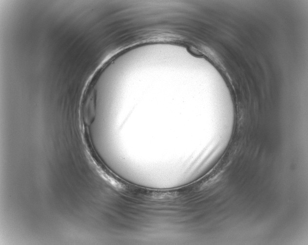 X0000065250843200603172202