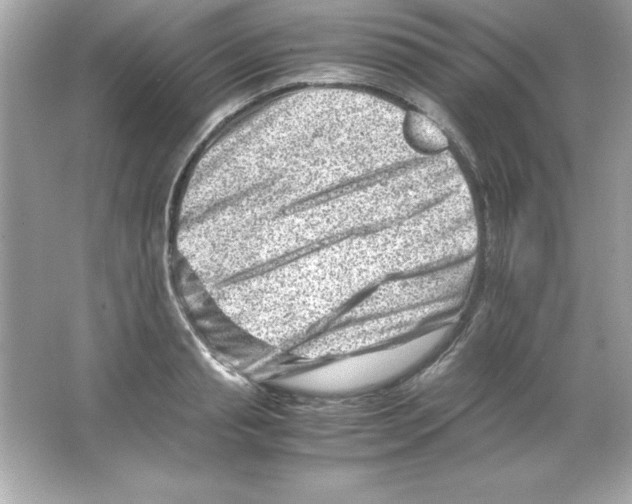 X0000065250845200603172202