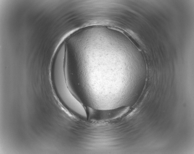 X0000065250846200603172202