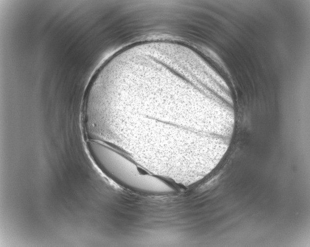 X0000065250847200603172202