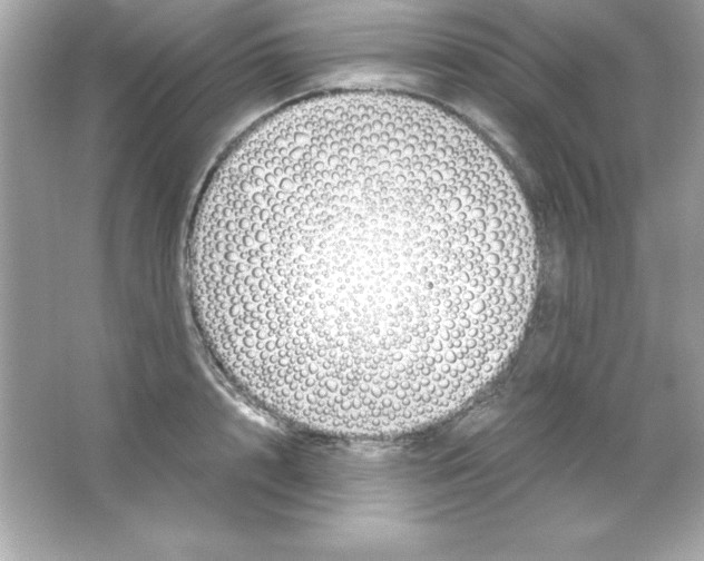 X0000065250848200603172202