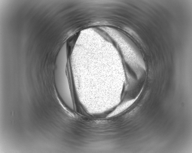 X0000065250849200603172202