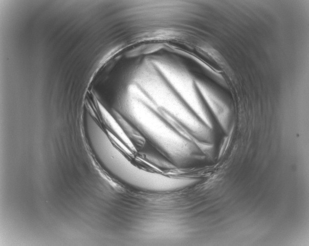 X0000065250850200603172202