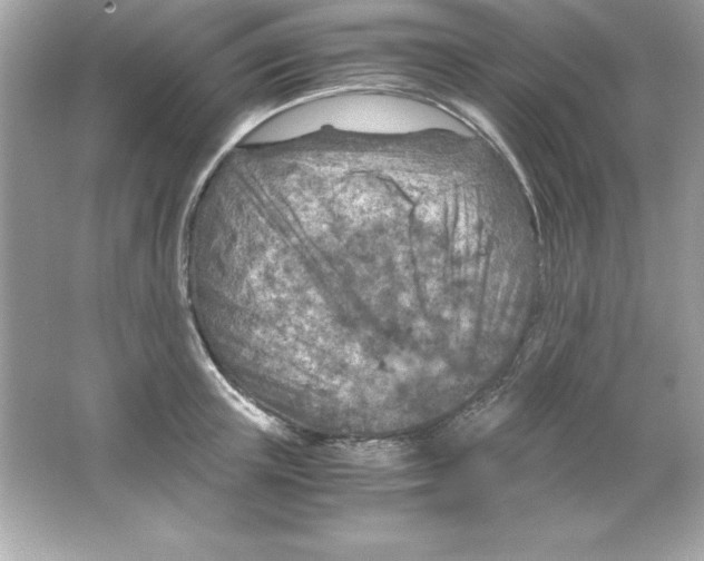 X0000065250851200603172202