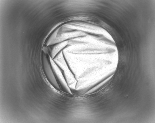 X0000065250852200603172202