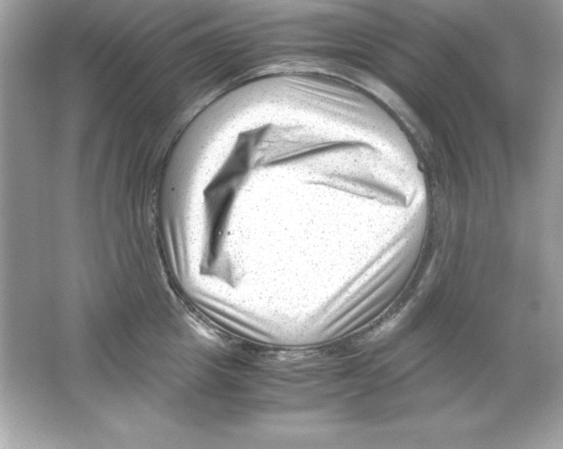 X0000065250857200603172202