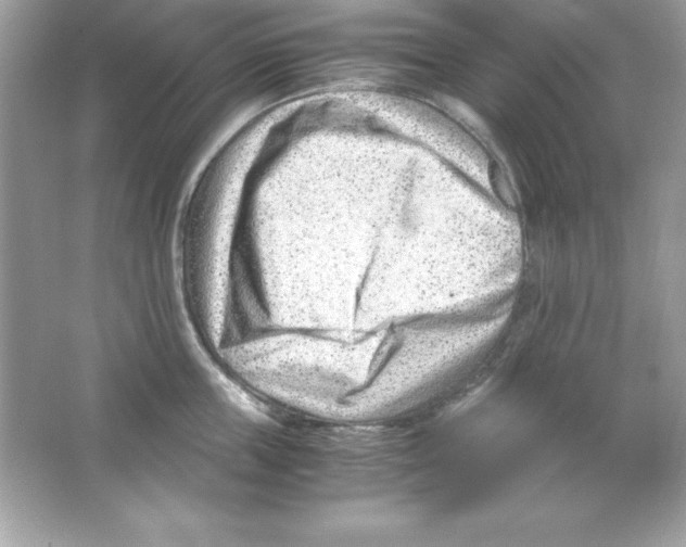 X0000065250859200603172202