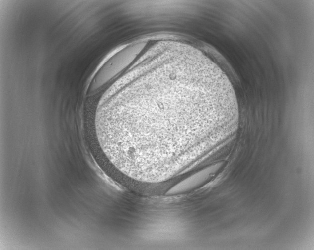 X0000065250860200603172202