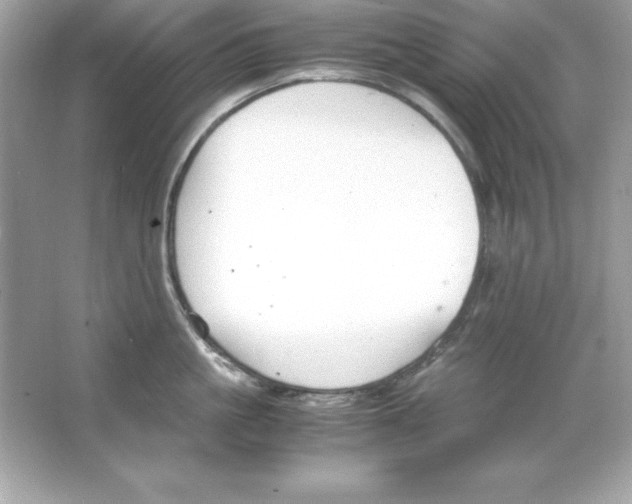 X0000065250861200603172202