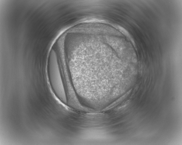 X0000065250863200603172202