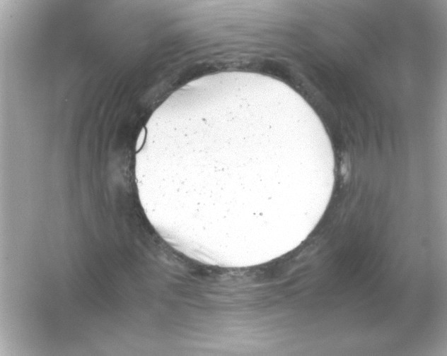 X0000065250867200603172201