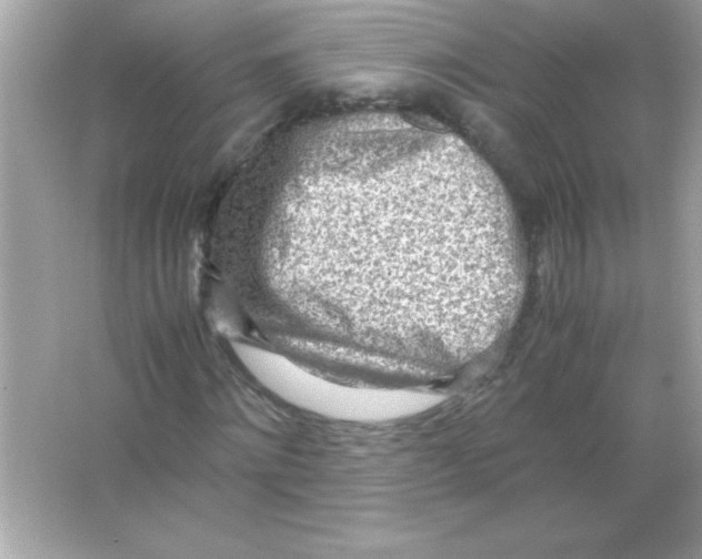 X0000065250868200603172201