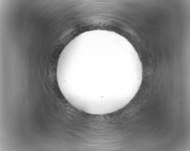 X0000065250869200603172201