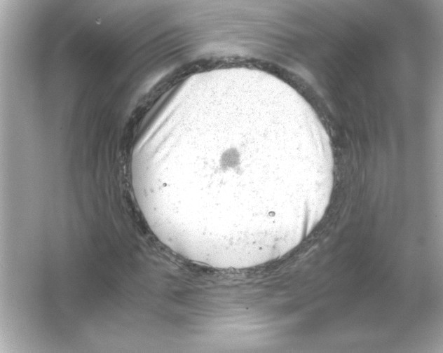 X0000065250871200603172201