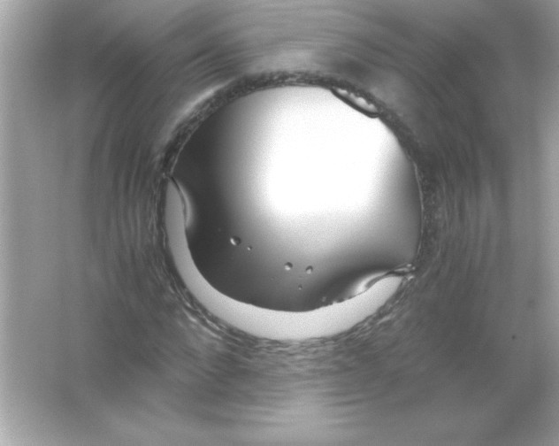 X0000065250872200603172201